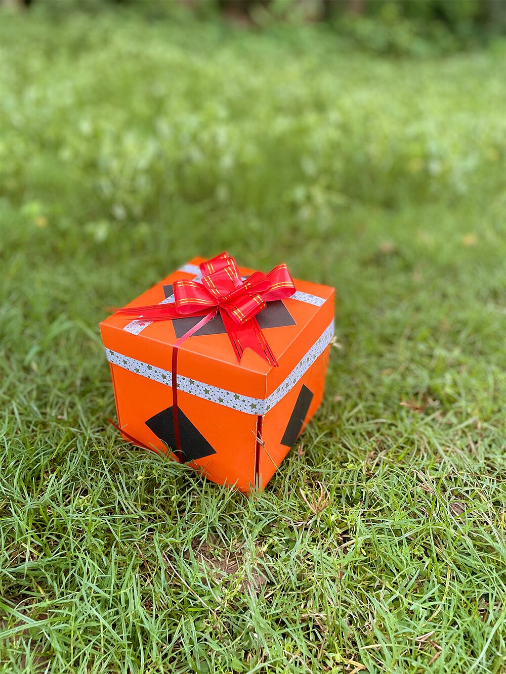 3-Liyar Box + Ring - Image 2